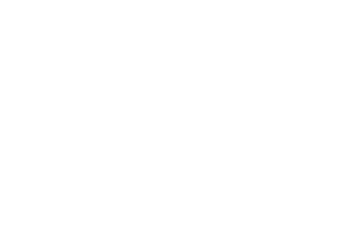 Modernización de Puertos y Aeropuertos (logo blanco)